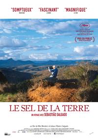 Постер Соль Земли