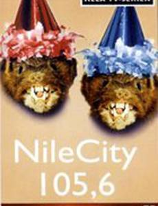 НайлСити 105.6 (мини-сериал)