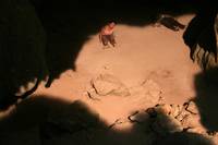 Кадр Дядюшка Бунми, который помнит свои прошлые жизни