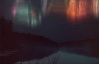 Кадр И на камнях растут деревья