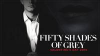 Постер 50 оттенков серого
