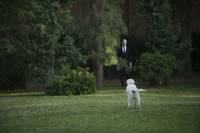 Кадр Слендер