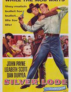 Серебряная жила