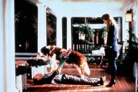 Кадр Мистер Судьба