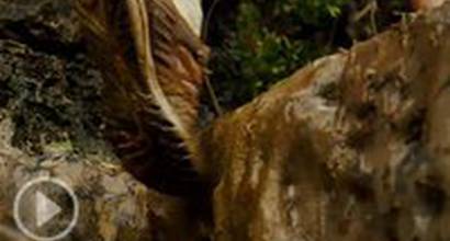 Фрагмент №2