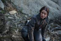 Кадр Континуум