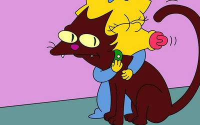 7 лучших котиков на ТВ