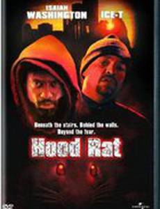 Крысы (видео)