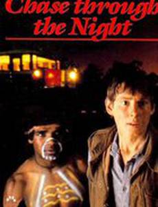 Погоня в ночи