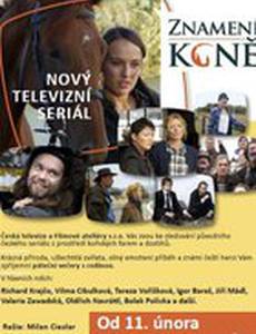 Порода лошадей