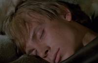 Кадр И на камнях растут деревья