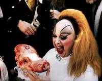 Кадр Розовые фламинго