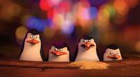Кадр Пингвины Мадагаскара