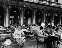 Кадр Летняя пора