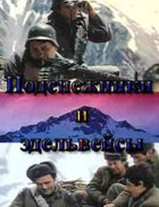 Подснежники и эдельвейсы