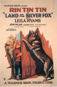 Постер Land of the Silver Fox