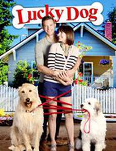 Lucky Dog