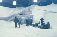 Кадр Ледниковый период 2000