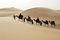 Кадр Божественное рождение