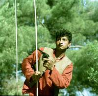 Кадр Новые приключения неуловимых