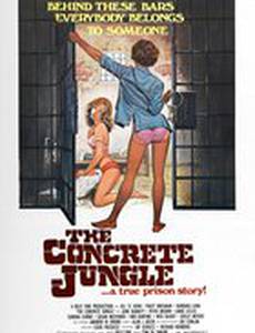 Бетонные джунгли