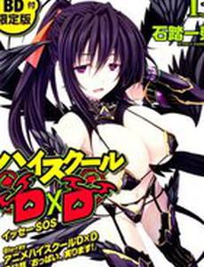 Высшая школа DxD (видео)