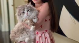 Кадр из фильма "Девять жизней" - 2