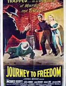 Journey to Freedom