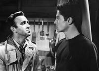 Кадр Они живут по ночам