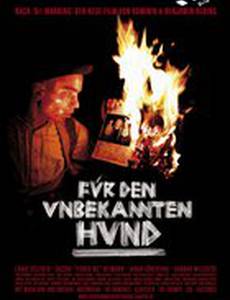 Für den unbekannten Hund