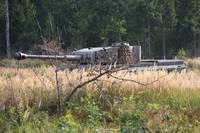 Кадр Белый тигр