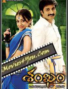 Тайное сокровище