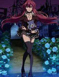 Святой рыцарь (видео)