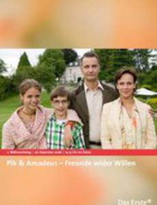 Пик и Амадеус