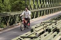 Кадр Красные муравьи