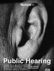 Public Hearing