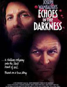 Эхо в темноте