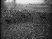 Кадр Стачка