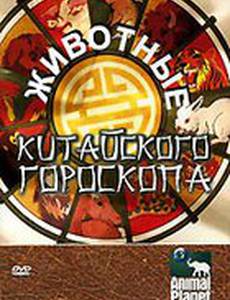 Животные китайского гороскопа