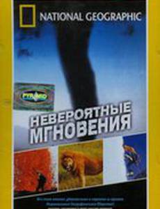 Невероятные мгновения