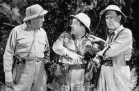 Кадр Африка зовёт