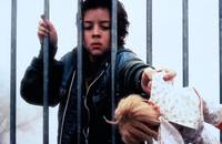 Кадр На берегу реки