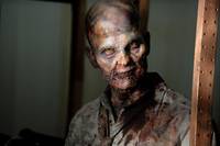 Кадр Ходячие мертвецы