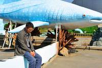 Кадр Рай океана