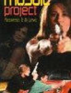 Операция «Мозаика» (видео)