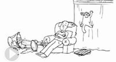 Фрагмент «Fly Guy»