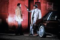 Кадр Команда Шарки