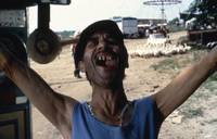 Кадр Черная кошка, белый кот