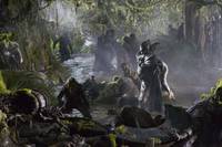 Кадр Следопыт