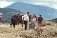 Кадр Южнее Гранады